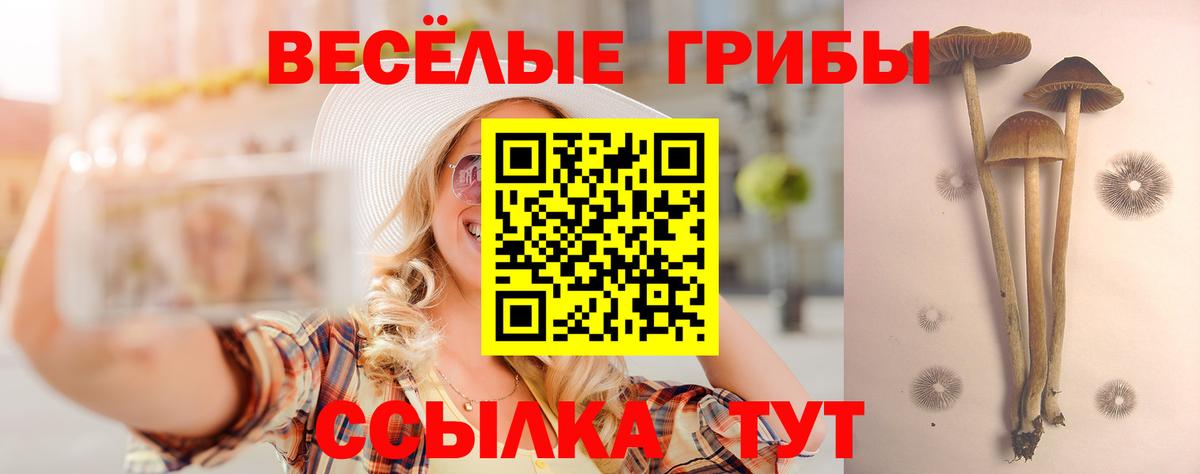 Галлюциногенные грибы GOLDEN TEACHER  Псилоцибиновые грибы ЛСД  Солнечногорск  Вход с VPN 